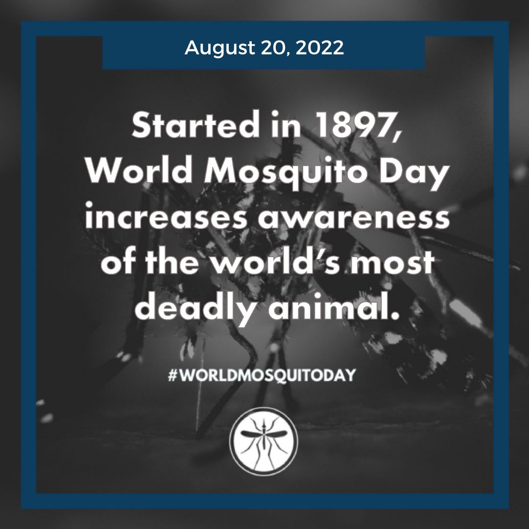 MVCAC Members World Mosquito Day 2022 Graphic 2